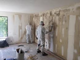 Best Biohazard Mold Removal  in Sandstone, MN